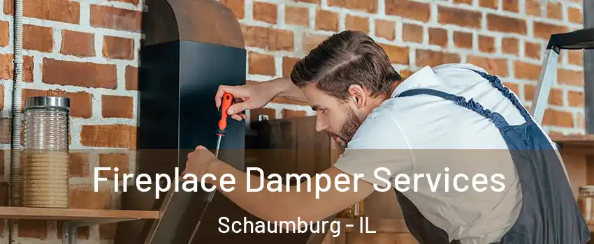  Fireplace Damper Services Schaumburg - IL