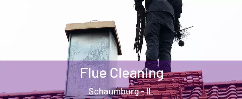  Flue Cleaning Schaumburg - IL