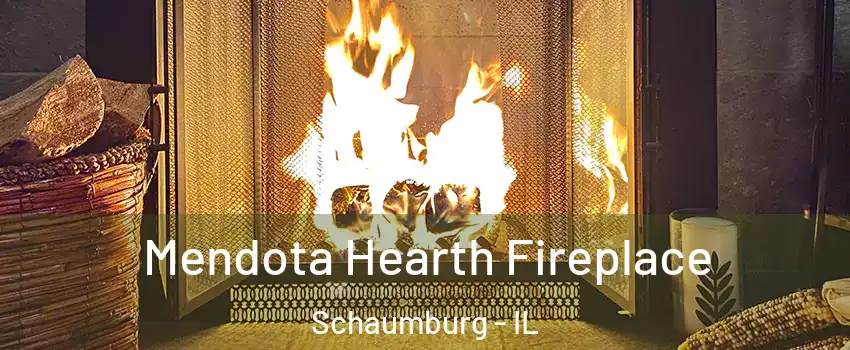  Mendota Hearth Fireplace Schaumburg - IL